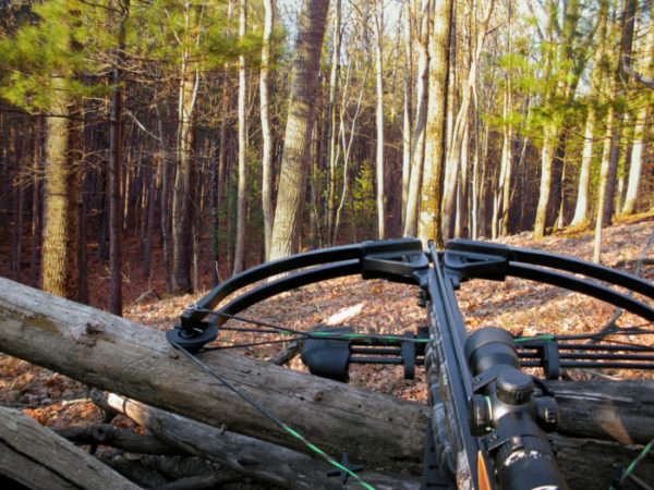 Benefits of Using a Bow Scope | Specialty Archery