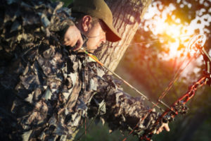 Target Compound Bow vs Hunting Compound Bow: What's the Difference?