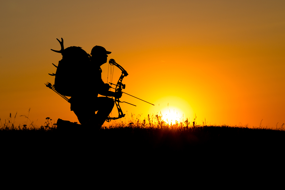 How to Shoot a Compound Bow: A Complete Guide
